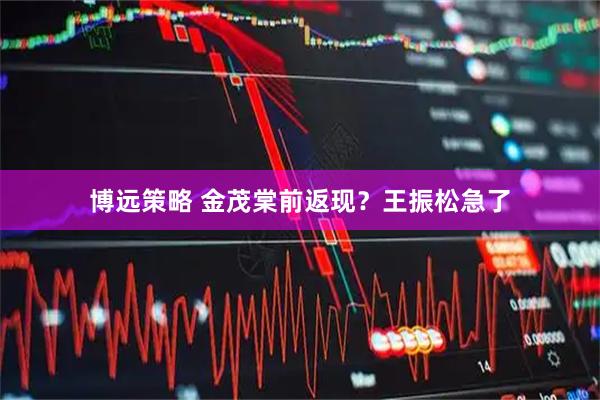 博远策略 金茂棠前返现？王振松急了
