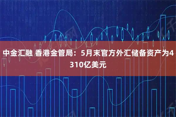 中金汇融 香港金管局:5月末官方外汇储备资产为4310亿美元